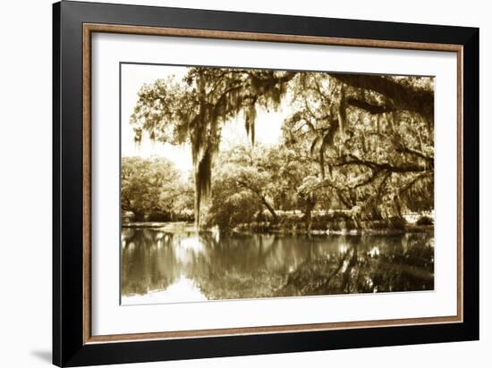 Mossy Lake II-Alan Hausenflock-Framed Photographic Print