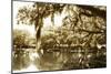 Mossy Lake II-Alan Hausenflock-Mounted Photographic Print