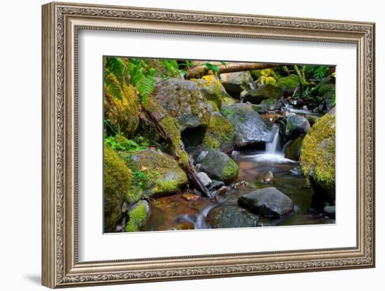 Mossy Stream-Michael Broom-Framed Art Print