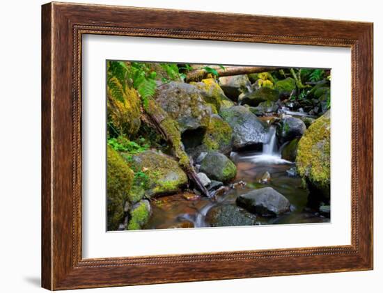 Mossy Stream-Michael Broom-Framed Art Print