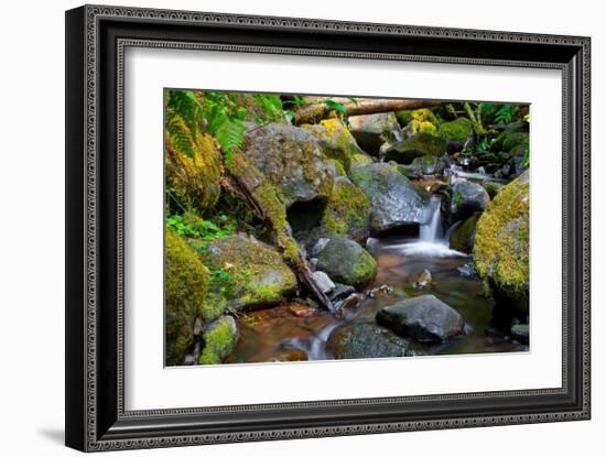 Mossy Stream-Michael Broom-Framed Art Print