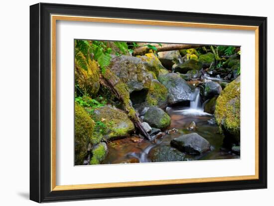 Mossy Stream-Michael Broom-Framed Art Print