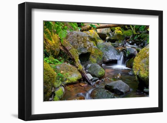 Mossy Stream-Michael Broom-Framed Art Print