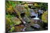 Mossy Stream-Michael Broom-Mounted Art Print