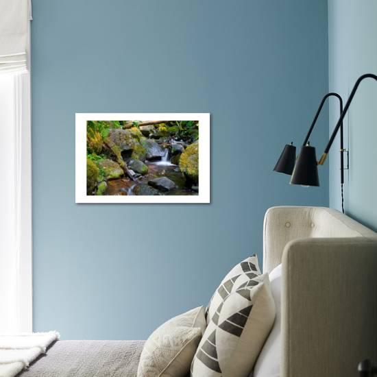 Mossy Stream Art Print By Michael Broom Art Com