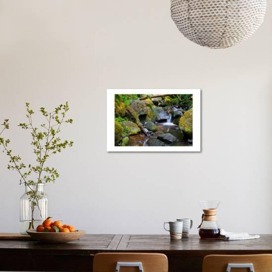 Mossy Stream Art Print By Michael Broom Art Com