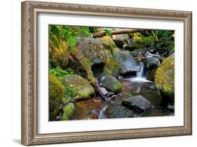 Mossy Stream-Michael Broom-Framed Art Print