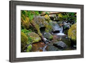Mossy Stream-Michael Broom-Framed Art Print
