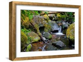Mossy Stream-Michael Broom-Framed Art Print
