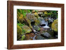 Mossy Stream-Michael Broom-Framed Art Print