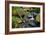 Mossy Stream-Michael Broom-Framed Art Print