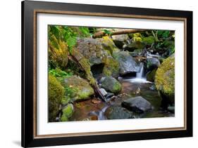 Mossy Stream-Michael Broom-Framed Art Print