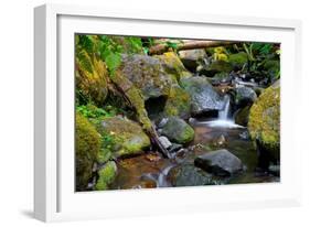 Mossy Stream-Michael Broom-Framed Art Print