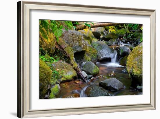 Mossy Stream-Michael Broom-Framed Art Print