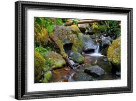 Mossy Stream-Michael Broom-Framed Art Print