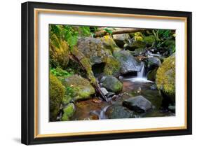 Mossy Stream-Michael Broom-Framed Art Print