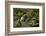 Mossy Waterfall, Portland Japanese Garden, Portland, Oregon, Usa-Michel Hersen-Framed Photographic Print