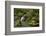 Mossy Waterfall, Portland Japanese Garden, Portland, Oregon, Usa-Michel Hersen-Framed Photographic Print