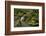 Mossy Waterfall, Portland Japanese Garden, Portland, Oregon, Usa-Michel Hersen-Framed Photographic Print