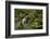 Mossy Waterfall, Portland Japanese Garden, Portland, Oregon, Usa-Michel Hersen-Framed Photographic Print