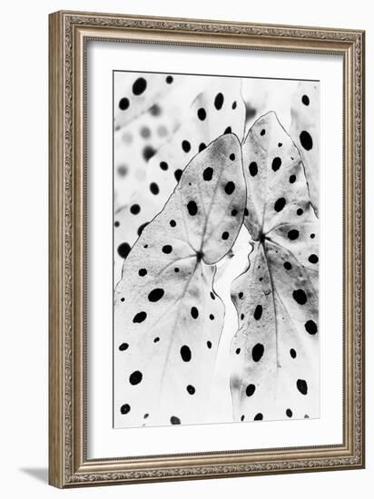 Moteado Shift-Irene Suchocki-Framed Giclee Print