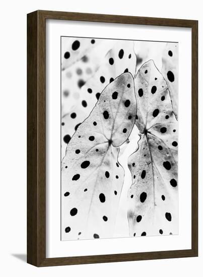 Moteado Shift-Irene Suchocki-Framed Giclee Print