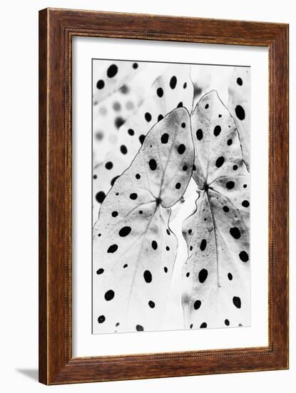 Moteado Shift-Irene Suchocki-Framed Giclee Print