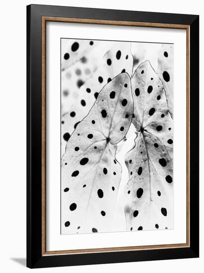 Moteado Shift-Irene Suchocki-Framed Giclee Print