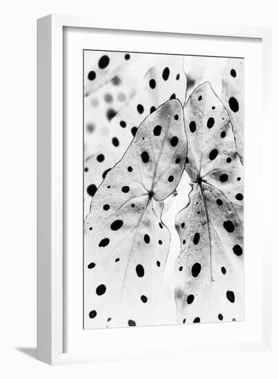 Moteado Shift-Irene Suchocki-Framed Giclee Print