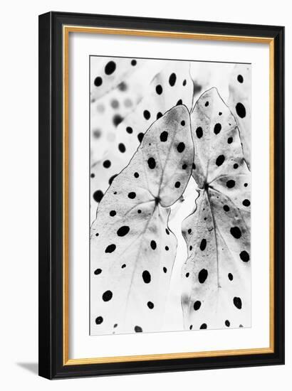 Moteado Shift-Irene Suchocki-Framed Giclee Print