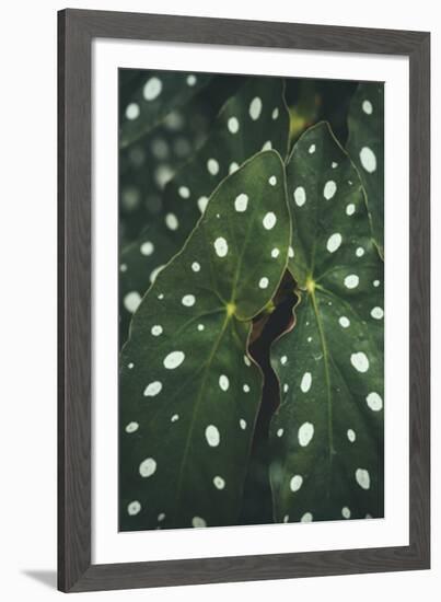 Moteado-Irene Suchocki-Framed Giclee Print