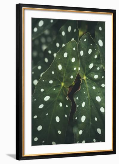 Moteado-Irene Suchocki-Framed Giclee Print