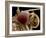 Moth Eye And Proboscis, SEM-Steve Gschmeissner-Framed Photographic Print