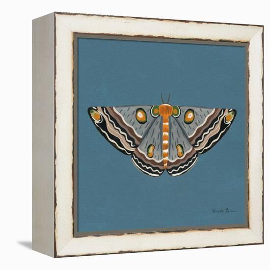 Moth I Sq-Farida Zaman-Framed Stretched Canvas