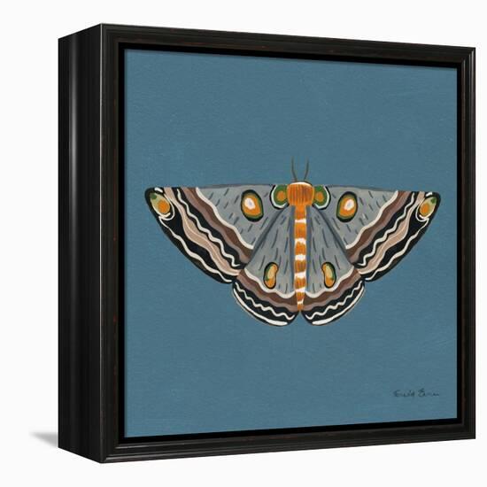 Moth I Sq-Farida Zaman-Framed Stretched Canvas