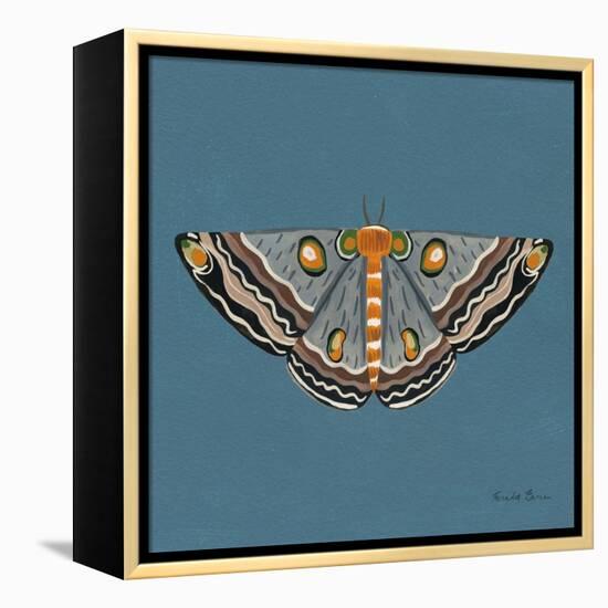 Moth I Sq-Farida Zaman-Framed Stretched Canvas