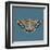 Moth I Sq-Farida Zaman-Framed Art Print