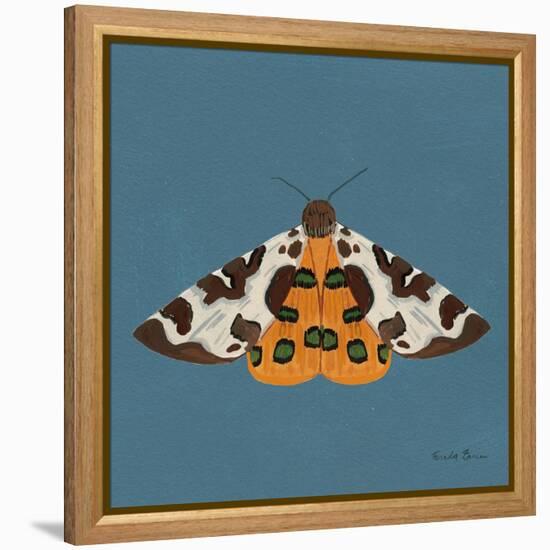 Moth II Sq-Farida Zaman-Framed Stretched Canvas