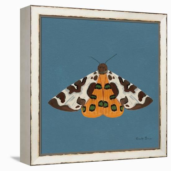 Moth II Sq-Farida Zaman-Framed Stretched Canvas