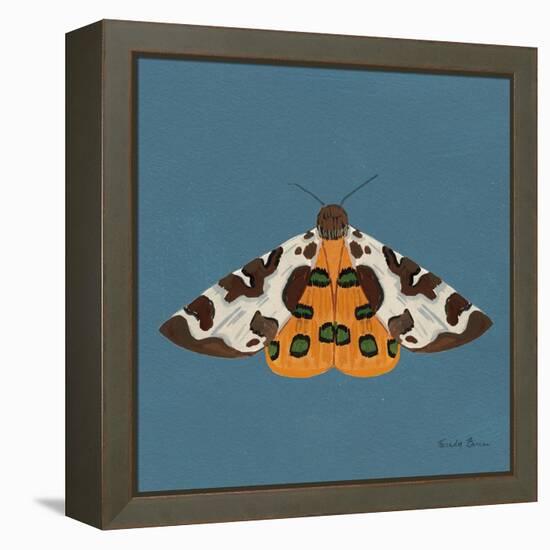 Moth II Sq-Farida Zaman-Framed Stretched Canvas