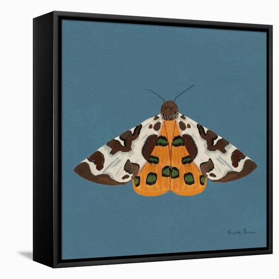 Moth II Sq-Farida Zaman-Framed Stretched Canvas