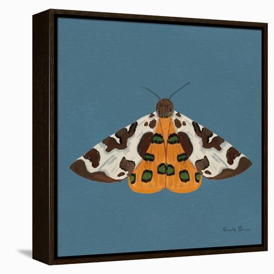 Moth II Sq-Farida Zaman-Framed Stretched Canvas