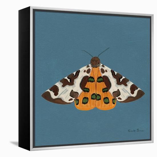 Moth II Sq-Farida Zaman-Framed Stretched Canvas