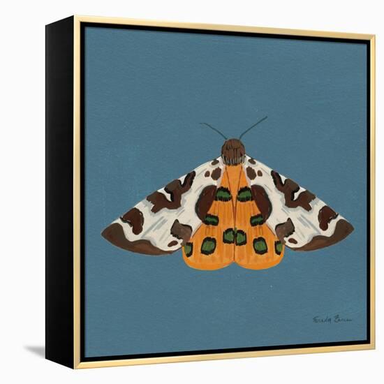 Moth II Sq-Farida Zaman-Framed Stretched Canvas