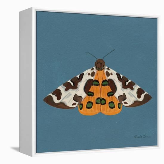 Moth II Sq-Farida Zaman-Framed Stretched Canvas