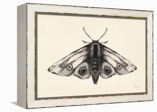 Moth II-Avery Tillmon-Framed Stretched Canvas