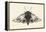 Moth II-Avery Tillmon-Framed Stretched Canvas