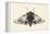 Moth II-Avery Tillmon-Framed Stretched Canvas