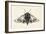 Moth II-Avery Tillmon-Framed Art Print