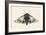 Moth II-Avery Tillmon-Framed Premium Giclee Print